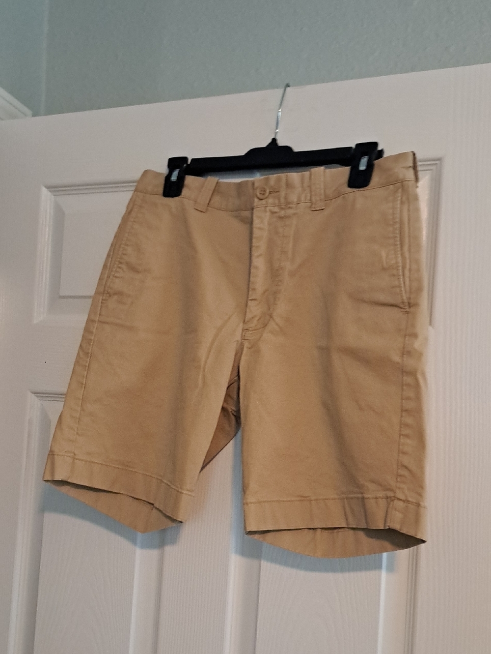 Chino Shorts 9/7